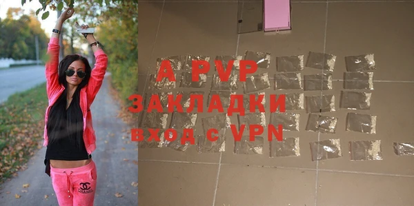 мдпв Вяземский