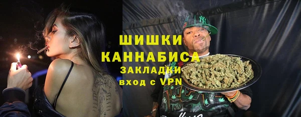мдпв Вяземский