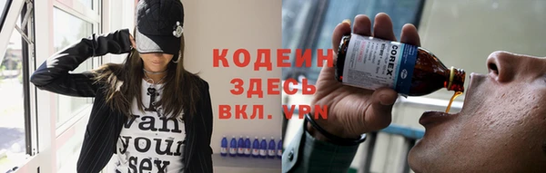мдпв Вяземский