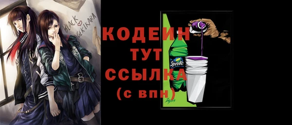 мдпв Вяземский