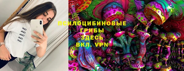 мдпв Вяземский
