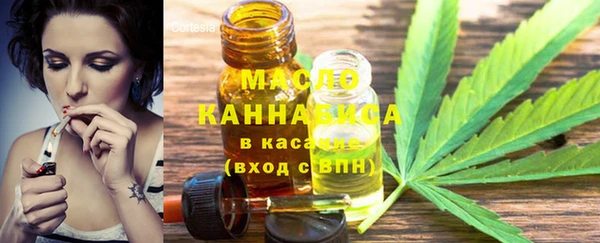 мдпв Вяземский
