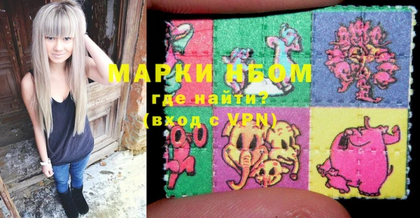 мдпв Вяземский